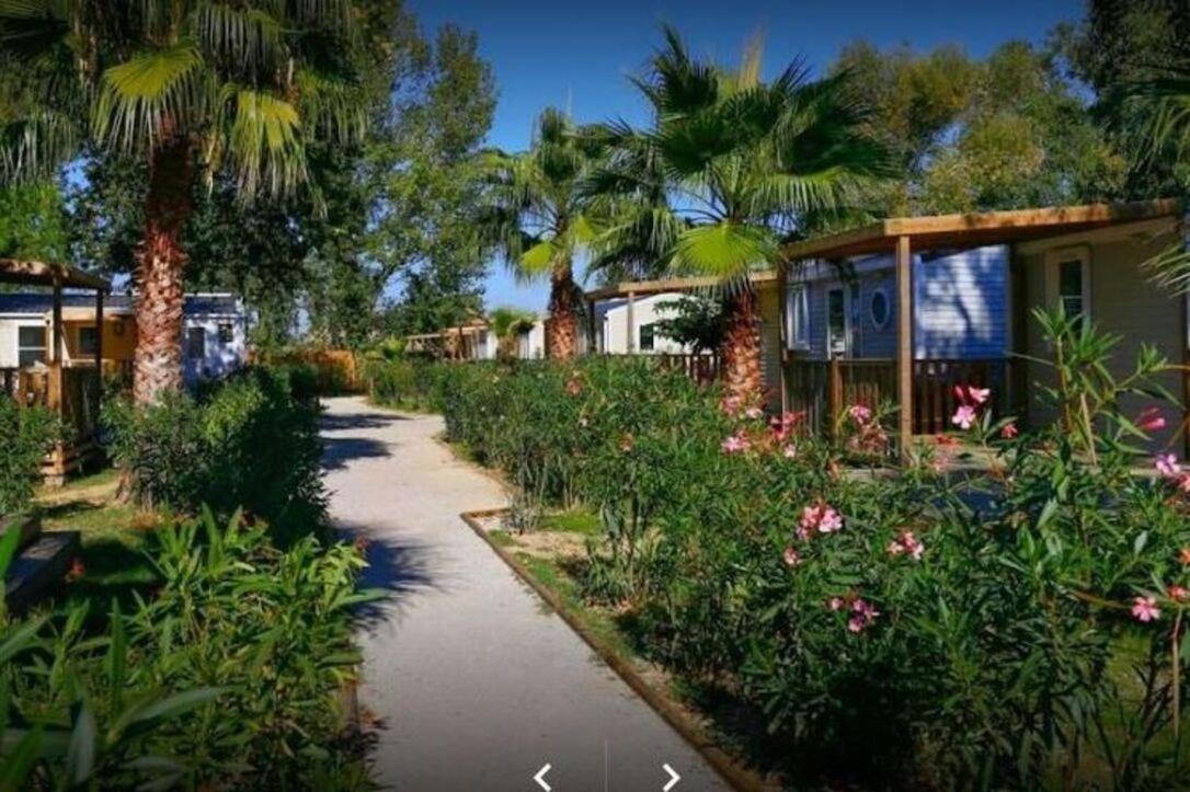 Campsite Mobil N 1 Confort St Cyprien 66 *